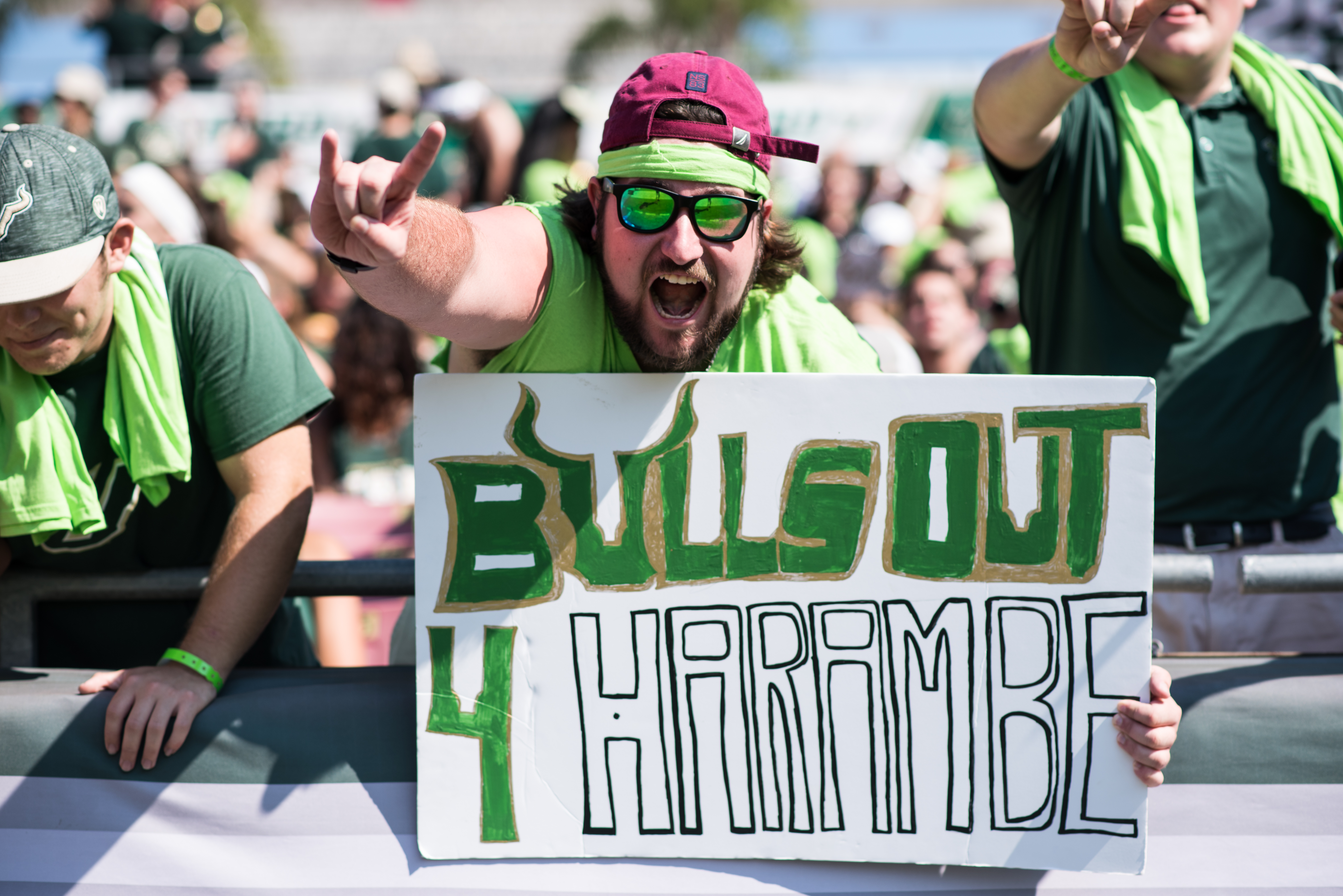 FSU vs USF 2016 17 - Student Section Sign 'Bulls Out 4 Harambe' by Dennis Akers (6016x4016)