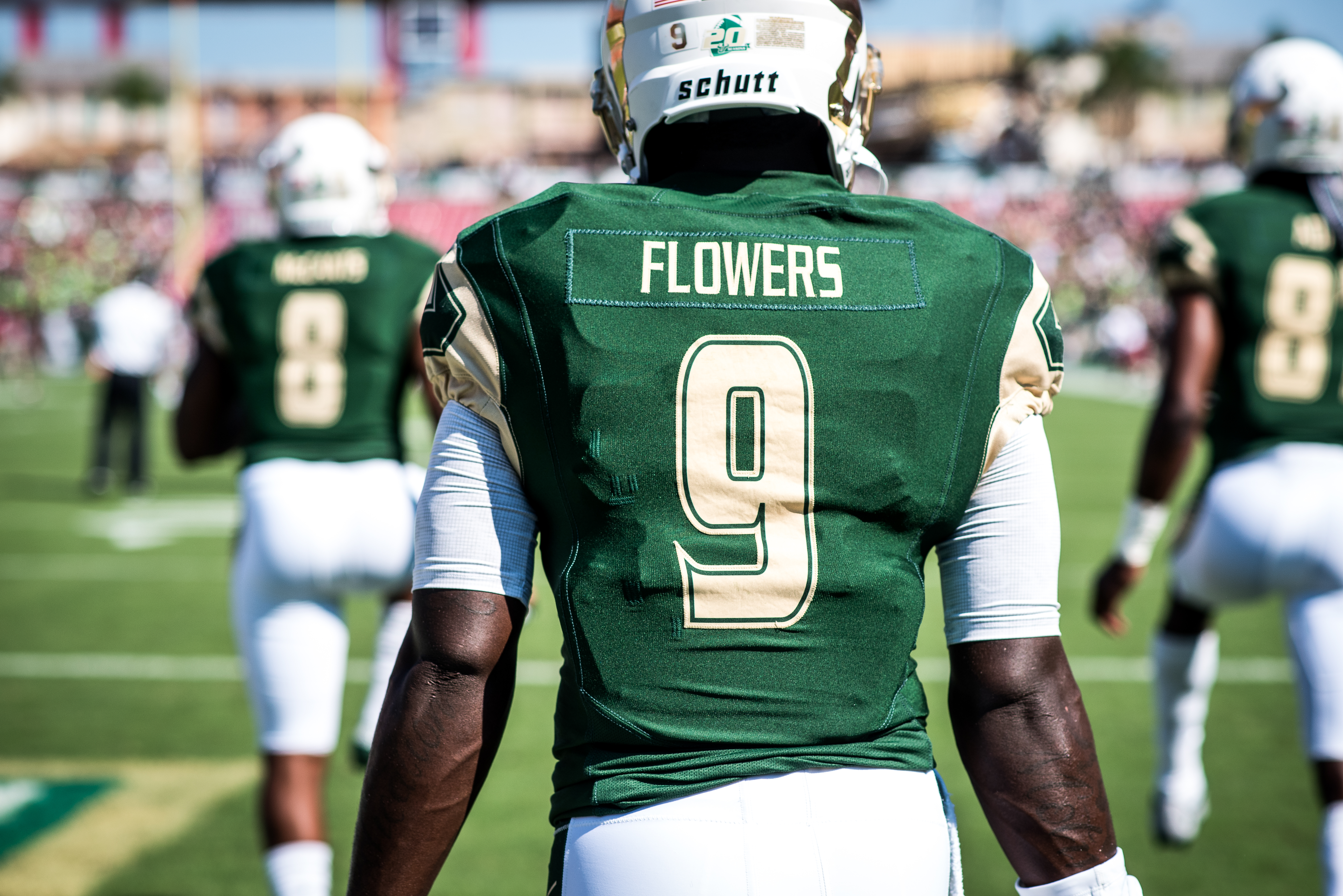 FSU vs USF 2016 30 - Quinton Flowers 2 Pre-game by Dennis Akers (6016x4016)