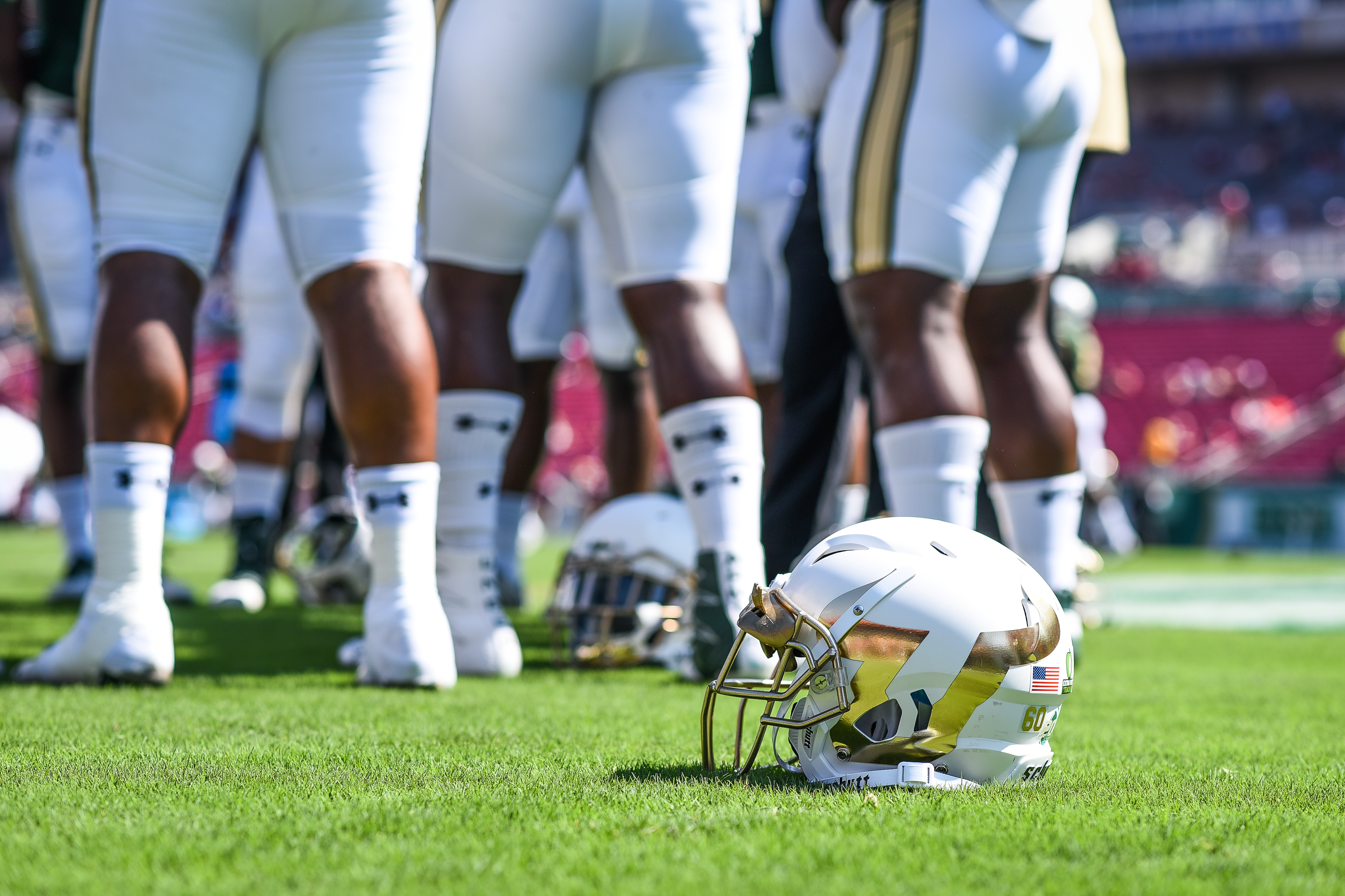 FSU vs USF 2016 38 - New White USF Football Helmet 2016 1 by Dennis Akers (4512x3008)