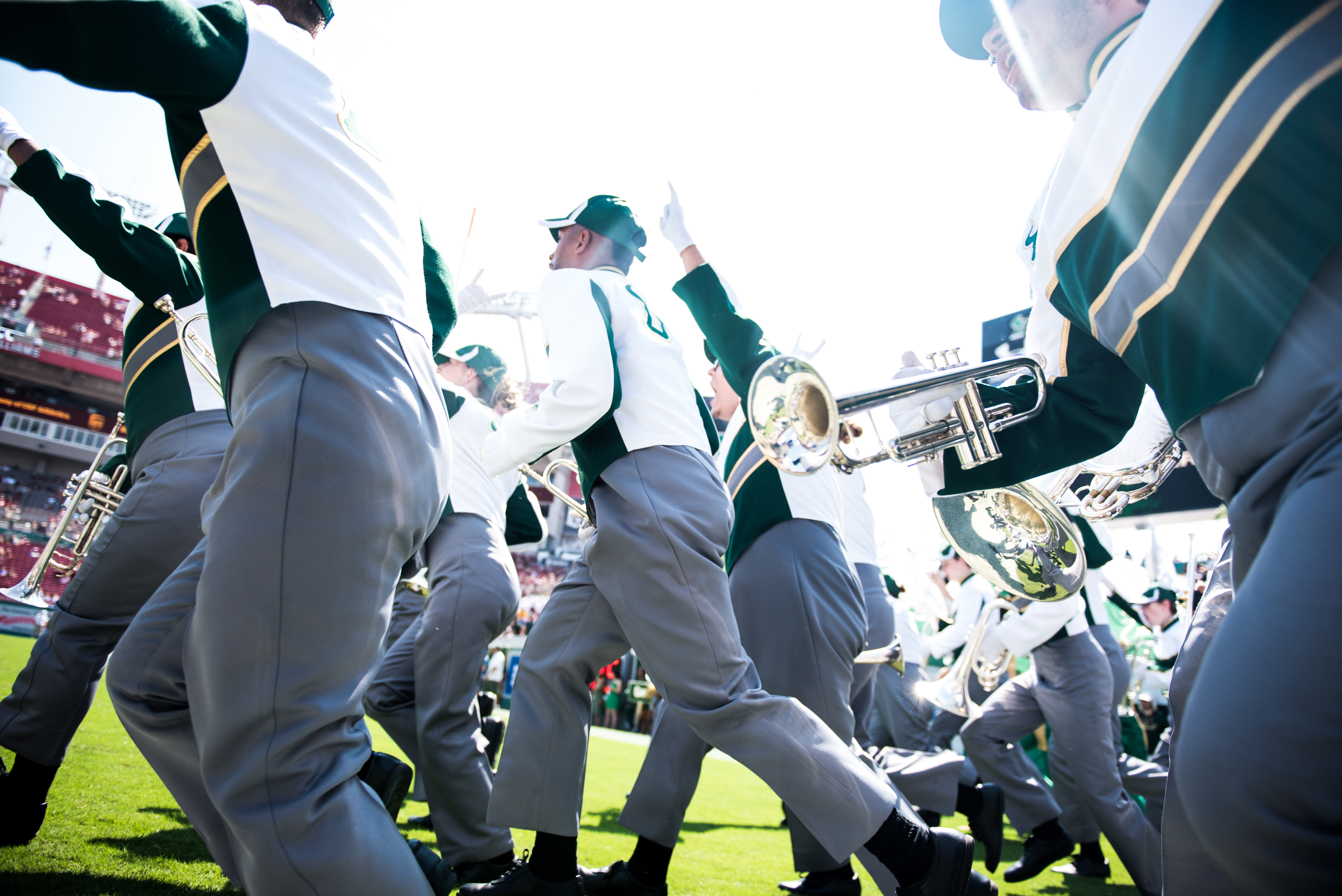 FSU vs USF 2016 44 - USF Band by Dennis Akers (6016x4016)
