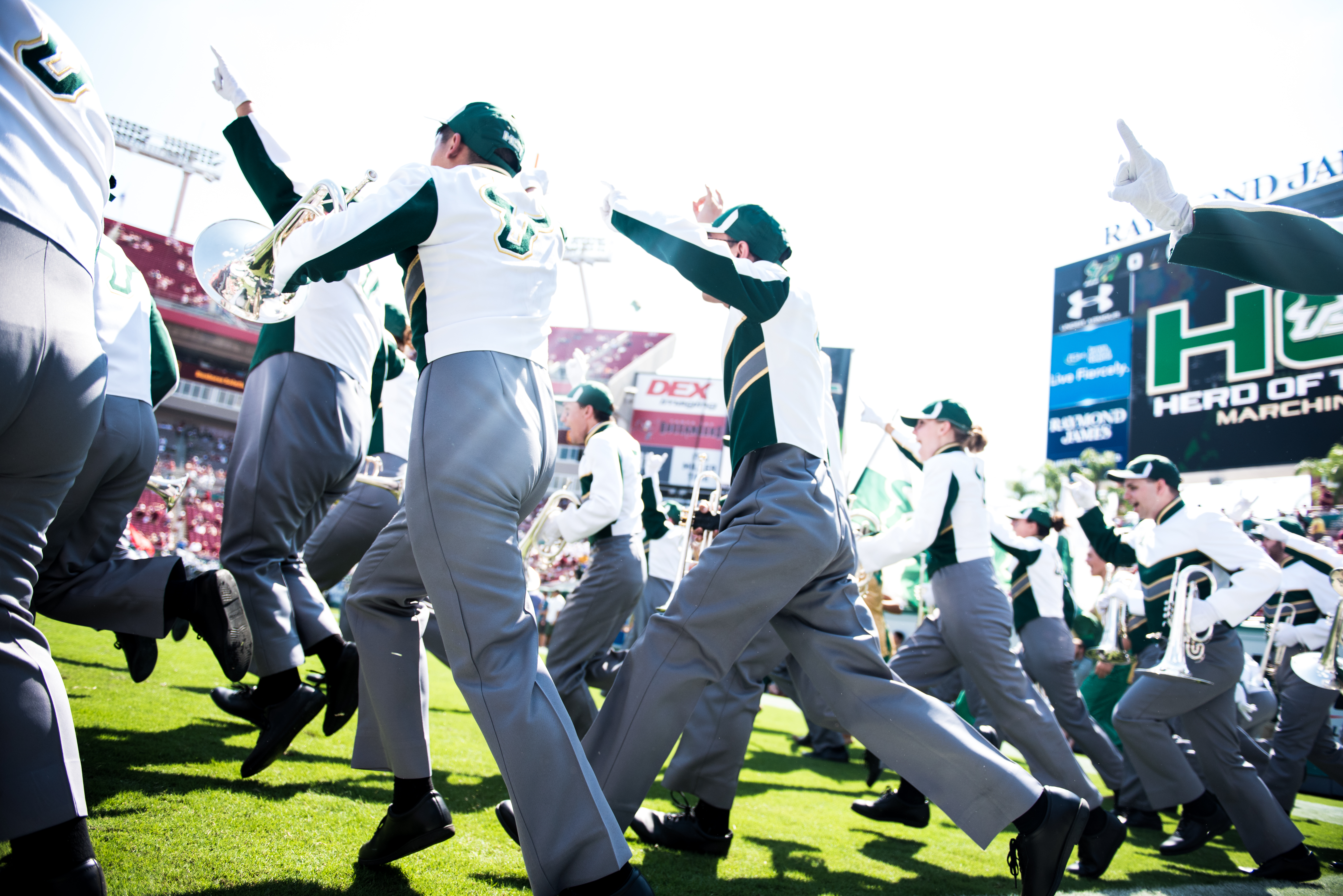 FSU vs USF 2016 45 - USF Band by Dennis Akers (6016x4016)
