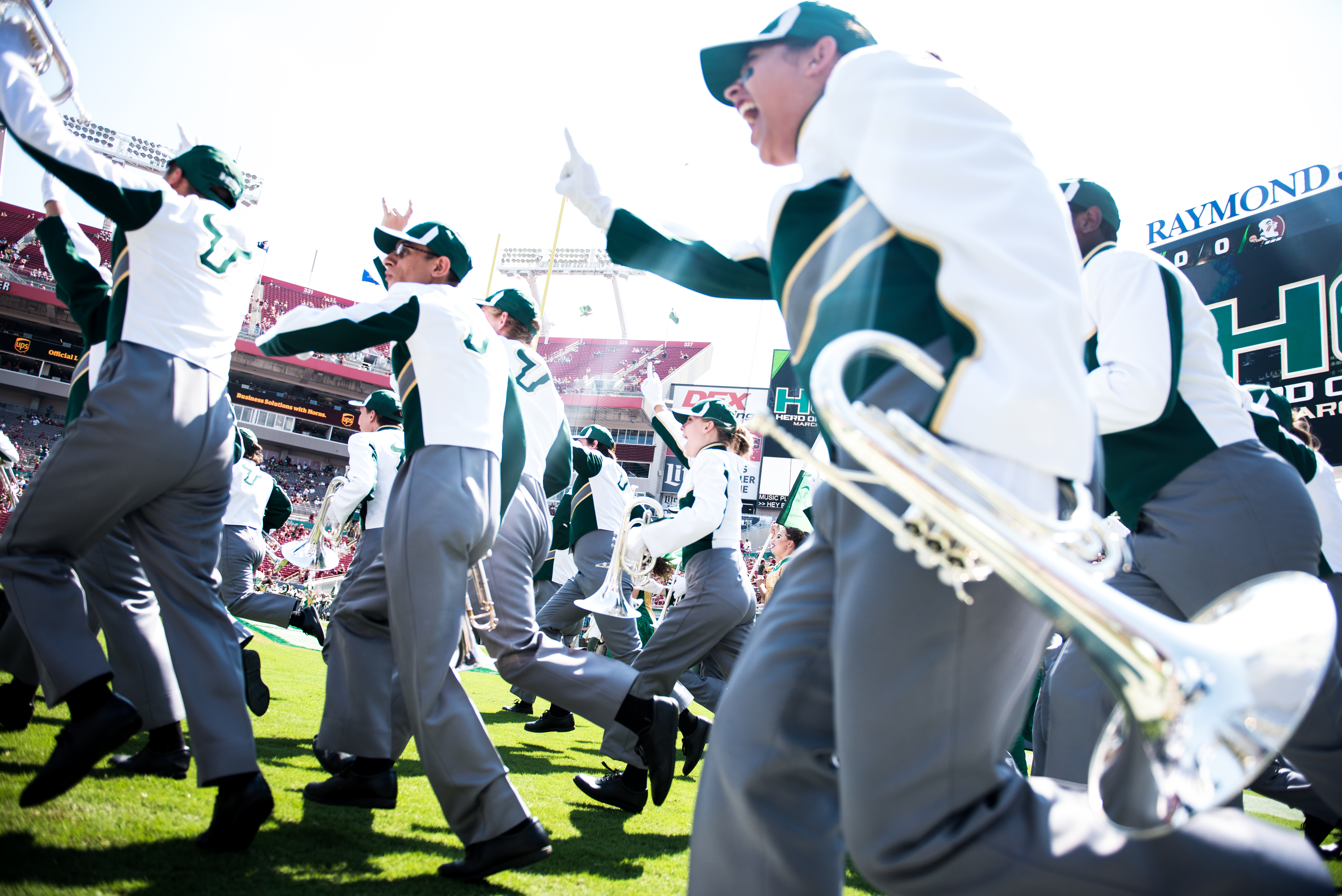 FSU vs USF 2016 46 - USF Band by Dennis Akers (6016x4016)
