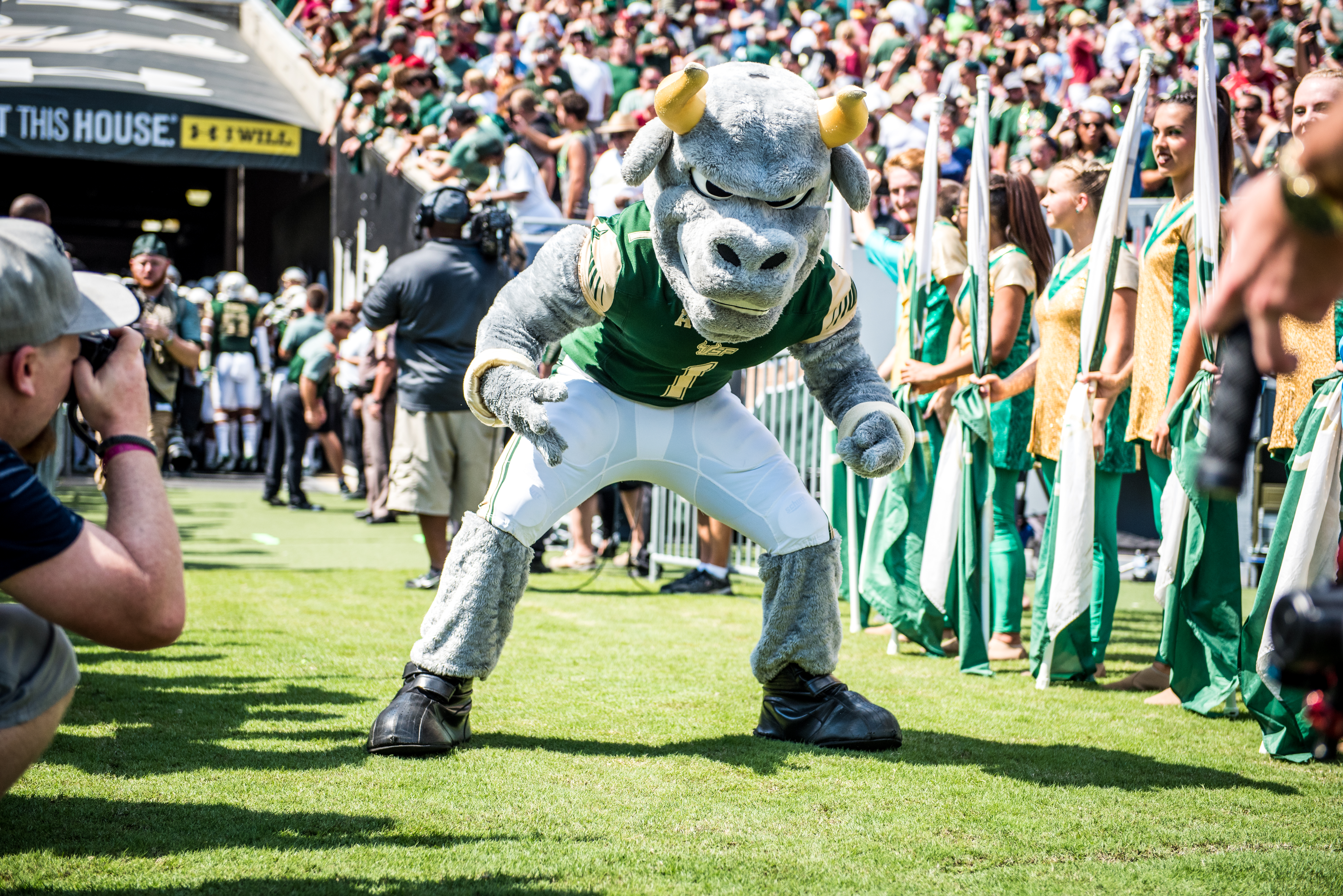 FSU vs USF 2016 49 - Rocky the Bull lined by Flag Girls Pre-game by Dennis Akers (5942x3967)