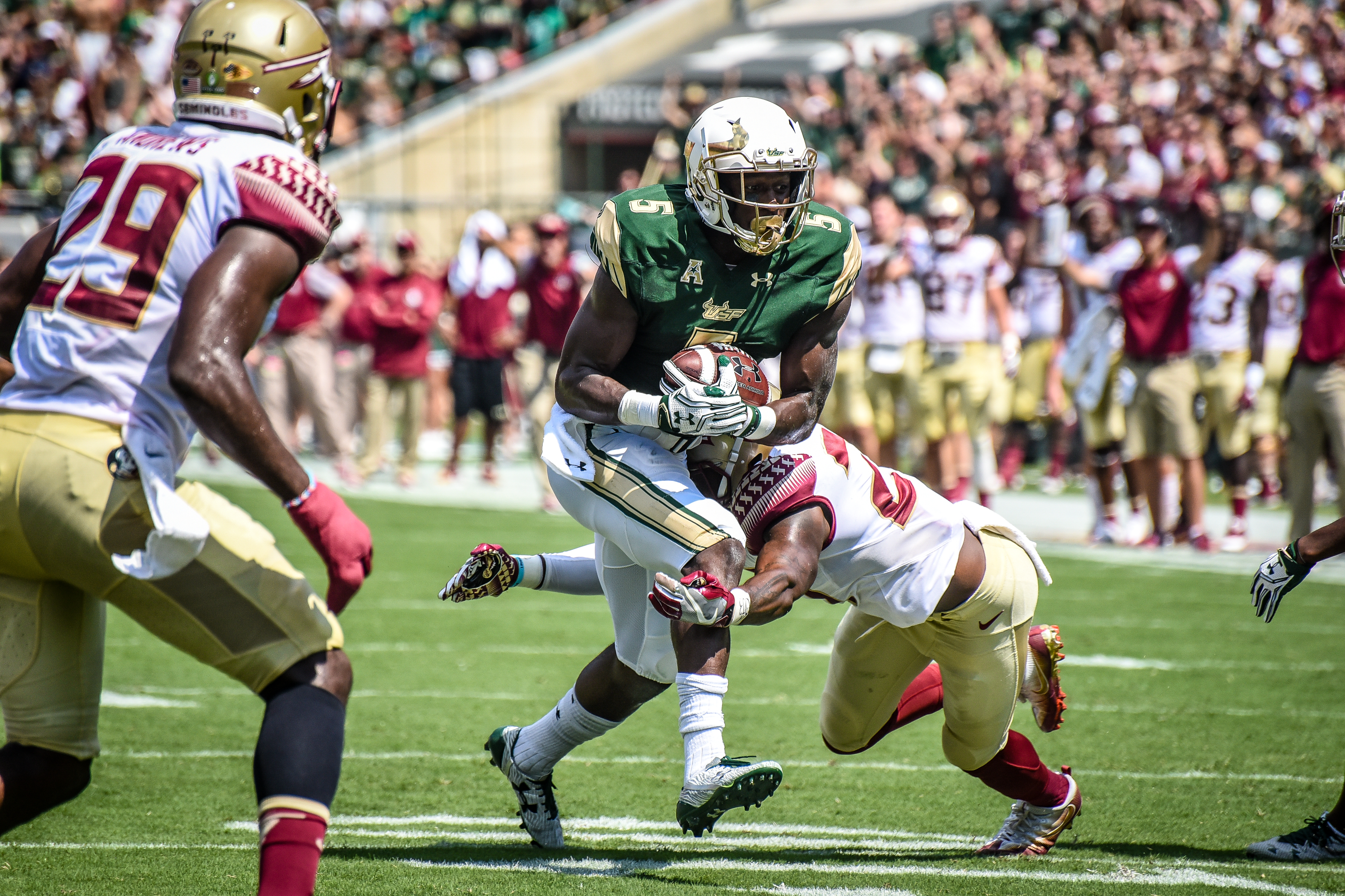 FSU vs USF 2016 63 - Marlon Mack Nate Andrews by Dennis Akers (4512x3008)