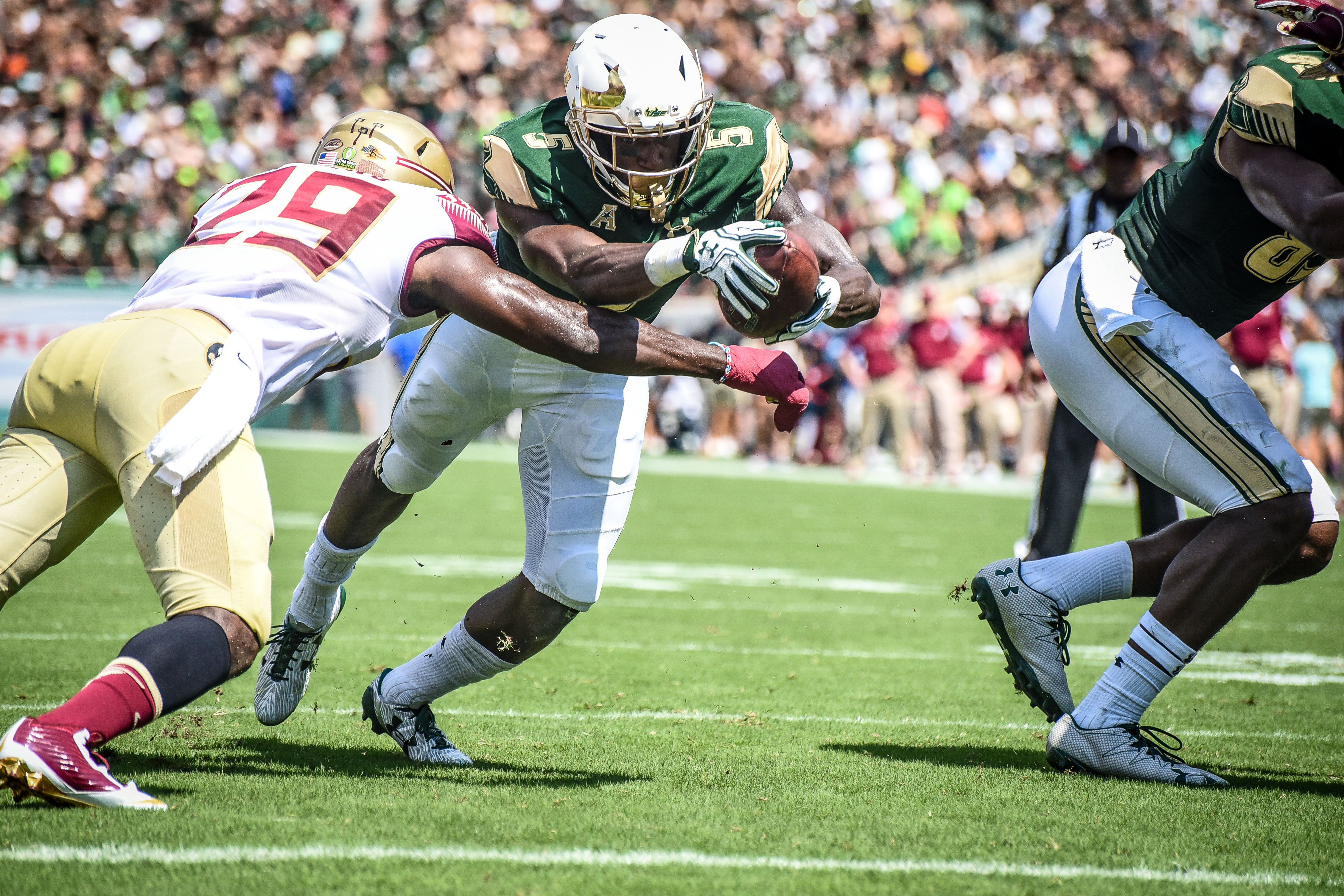 FSU vs USF 2016 64 - Marlon Mack vs. Nate Andrews by Dennis Akers (4512x3008)