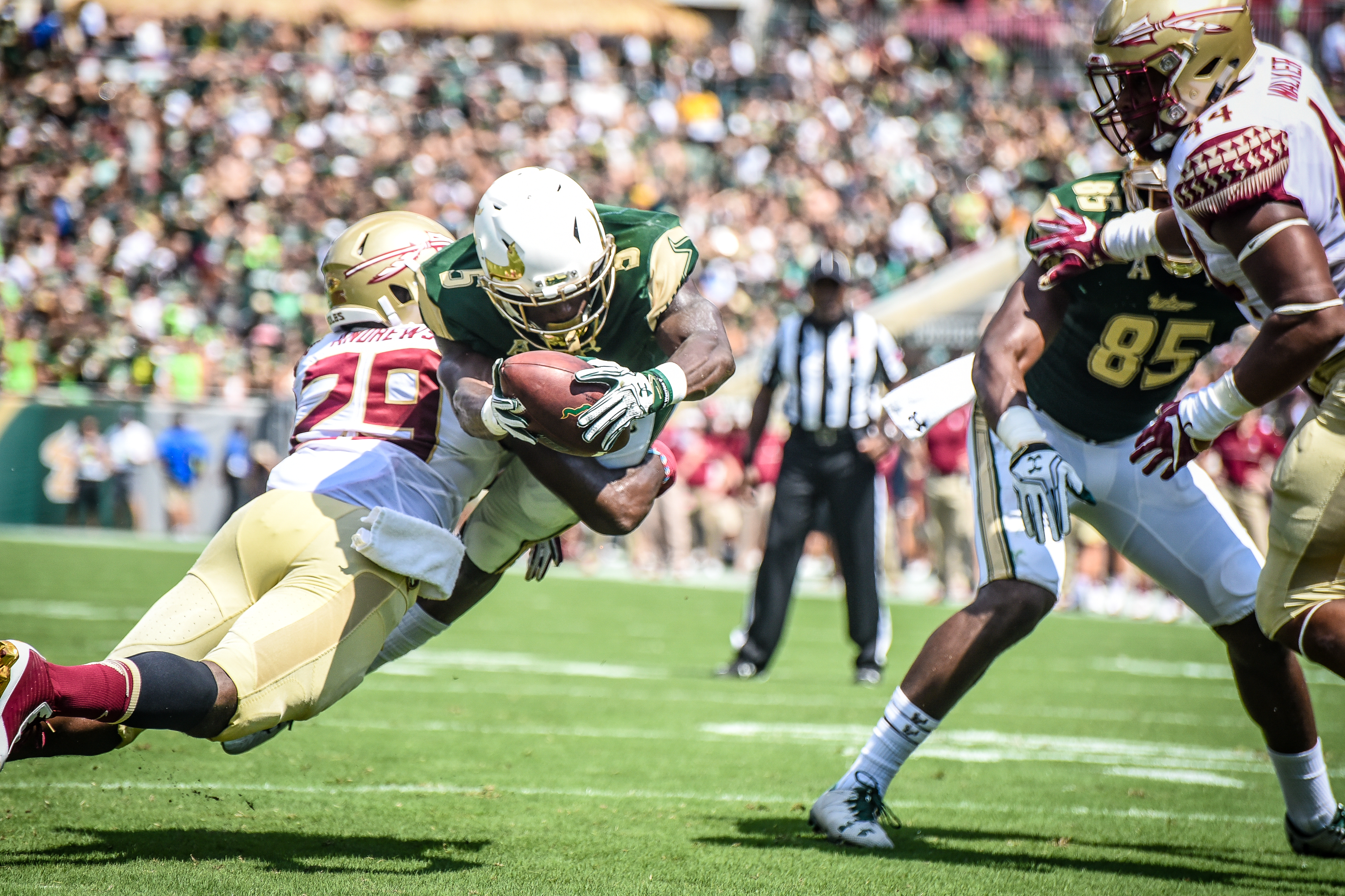 FSU vs USF 2016 65 - Marlon Mack and Nate Andrews head-to-head for the touchdown by Dennis Akers (4512x3008)