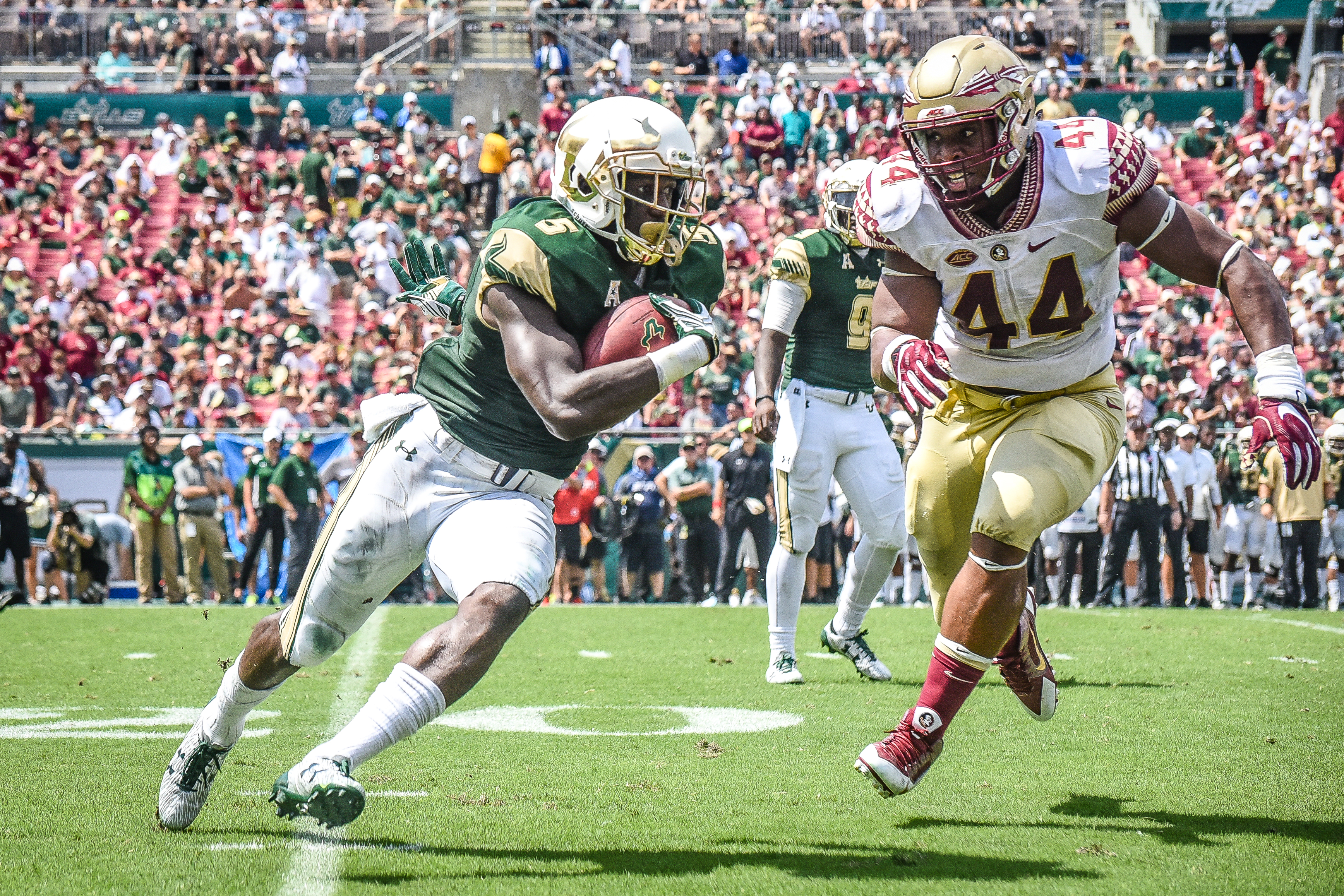 FSU vs USF 2016 76 - Marlon Mack with Demarcus Walker in hot pursuit by Dennis Akers (3472X2315)