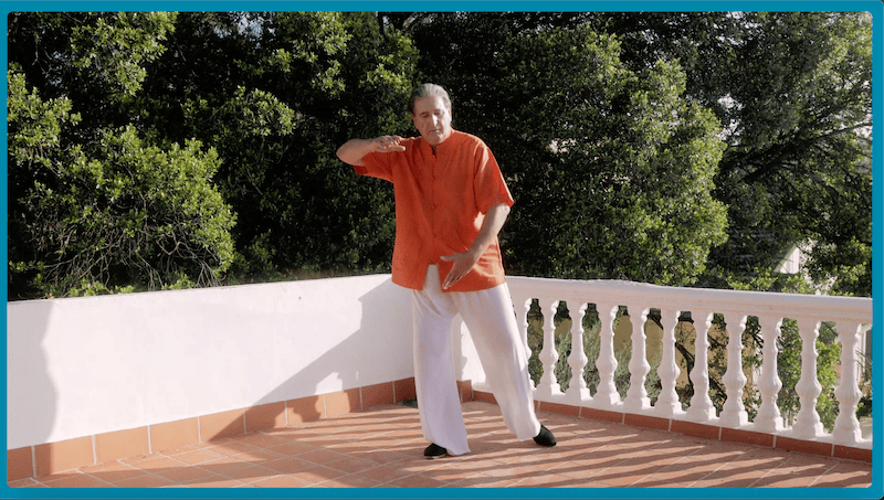 Mi Camino en: El Qi Gong para la Salud