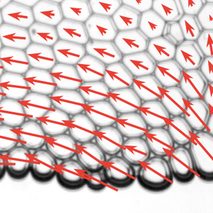 Track Issue 769 Soft Matter Trackpy Github - Vintage Backgrounds - Incredible Retina Collection