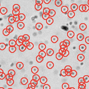 Track Issue 769 Soft Matter Trackpy Github - Sunset Image Collection - 4K Quality