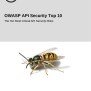 OWASP API Security Top 10 PDF