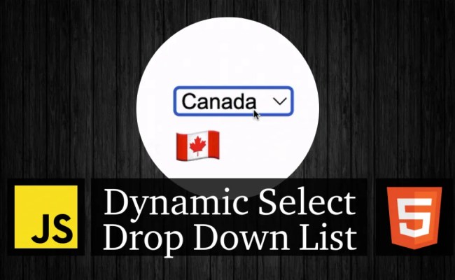 Dynamic HTML Select Drop Down List Using JavaScript