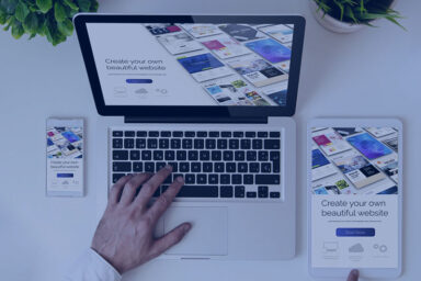softeagles-web-design
