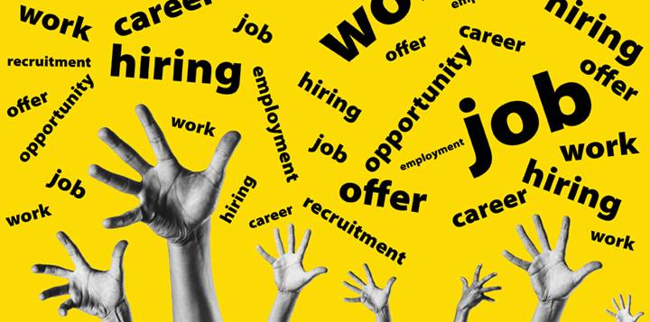 How to Secure a Job Interview and Get Hired in New Zealand
