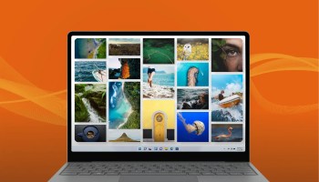 Free image downloading sites