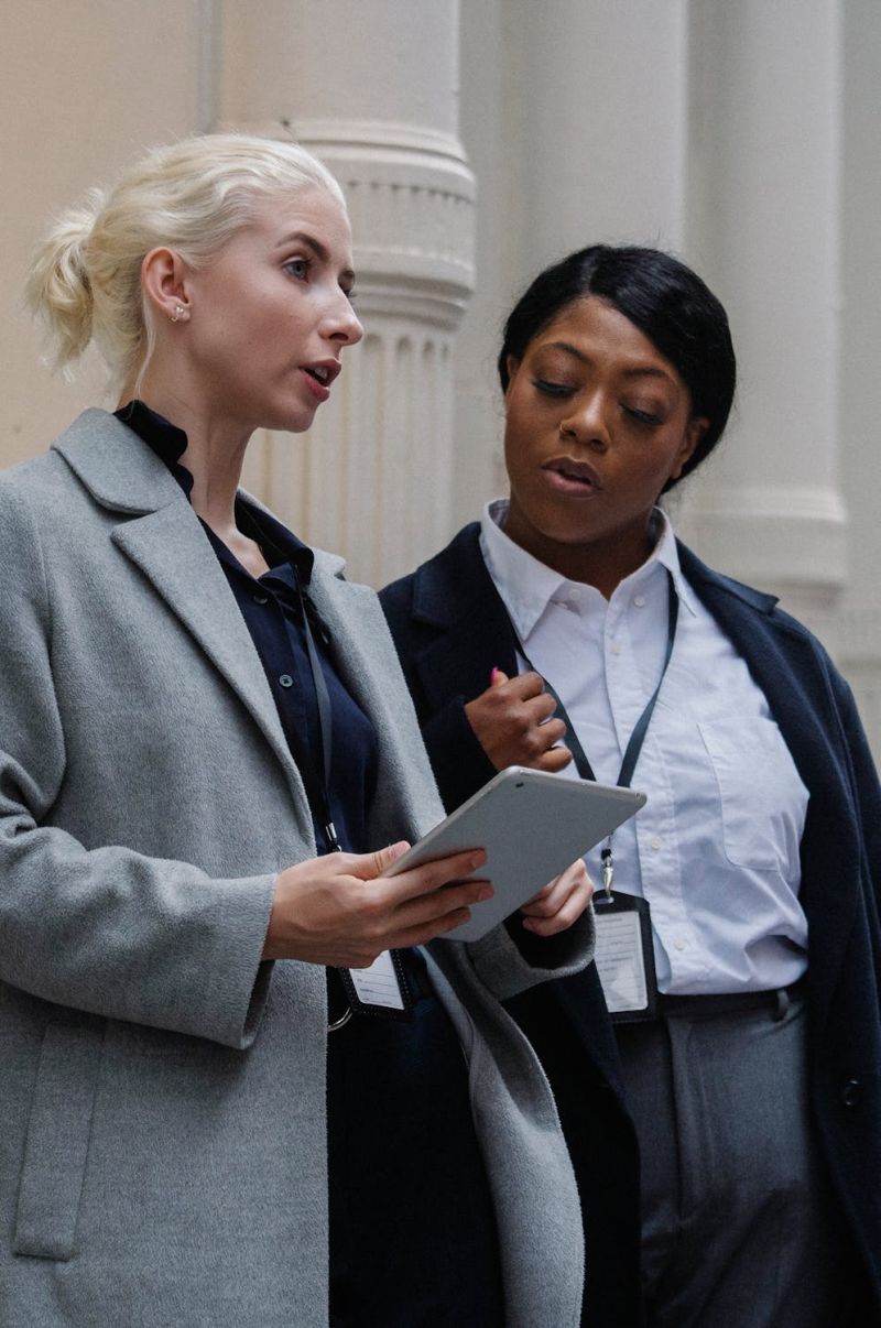 Bespoke Software Development Solutions In Colchester Softvize - Ultra HD Mobile Mountain Arts | Free Download