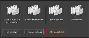 Software Problems
