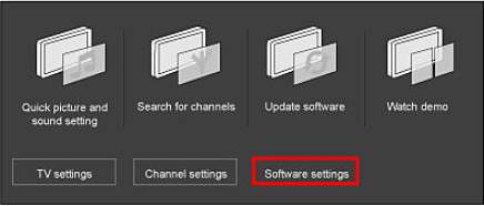 Software Problems