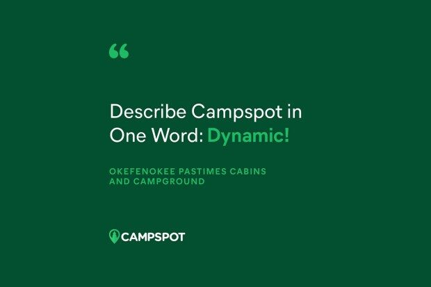 dynamic-3569969