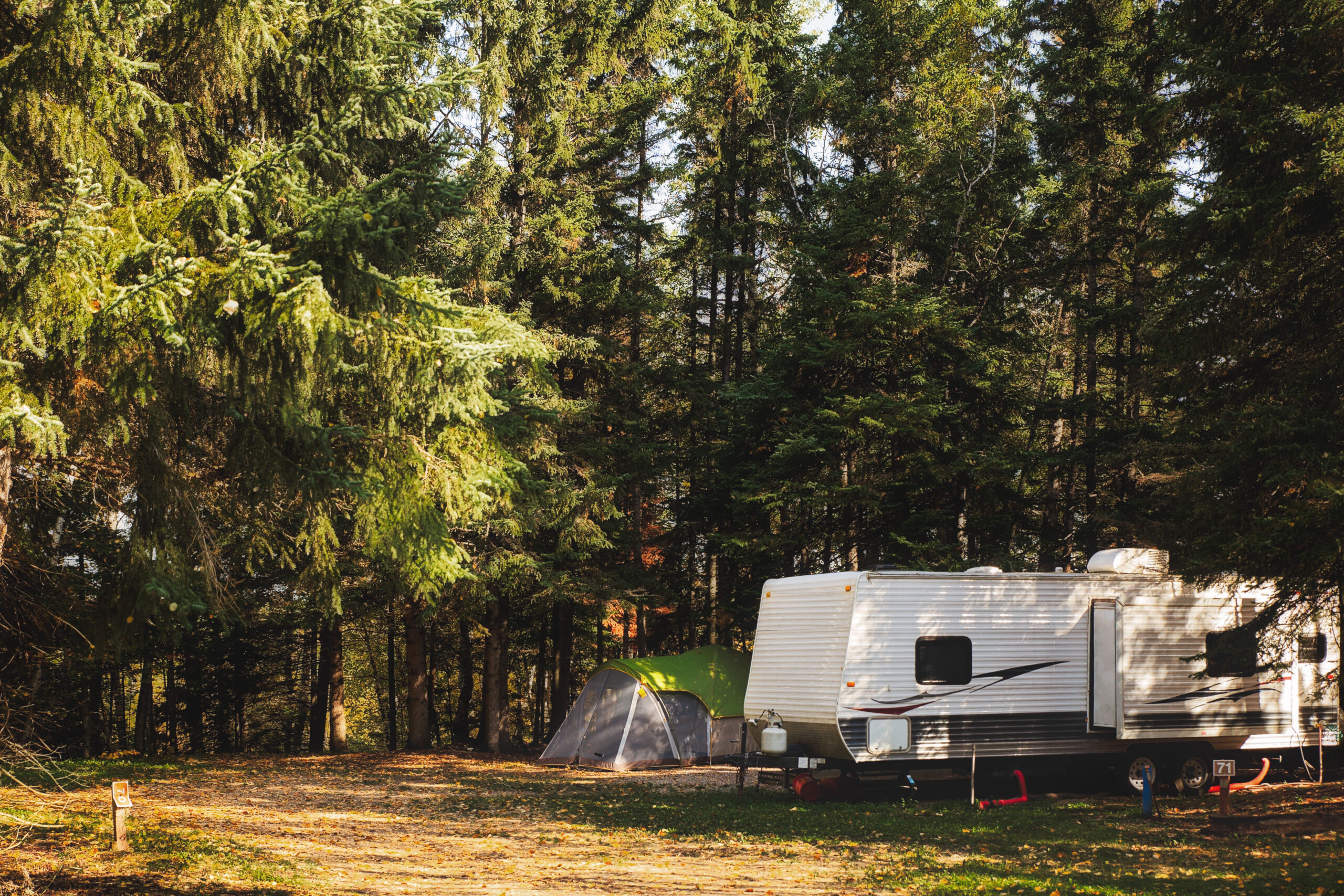 Modernizing Public Park Reservations: Both Sides of the Booking