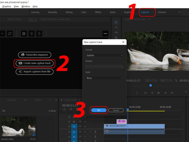 Xuất file phụ đề trong Adobe Premiere Pro