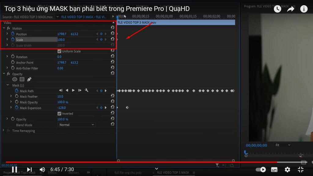 Danh mục hiệu ứng trong Adobe Premiere Pro
