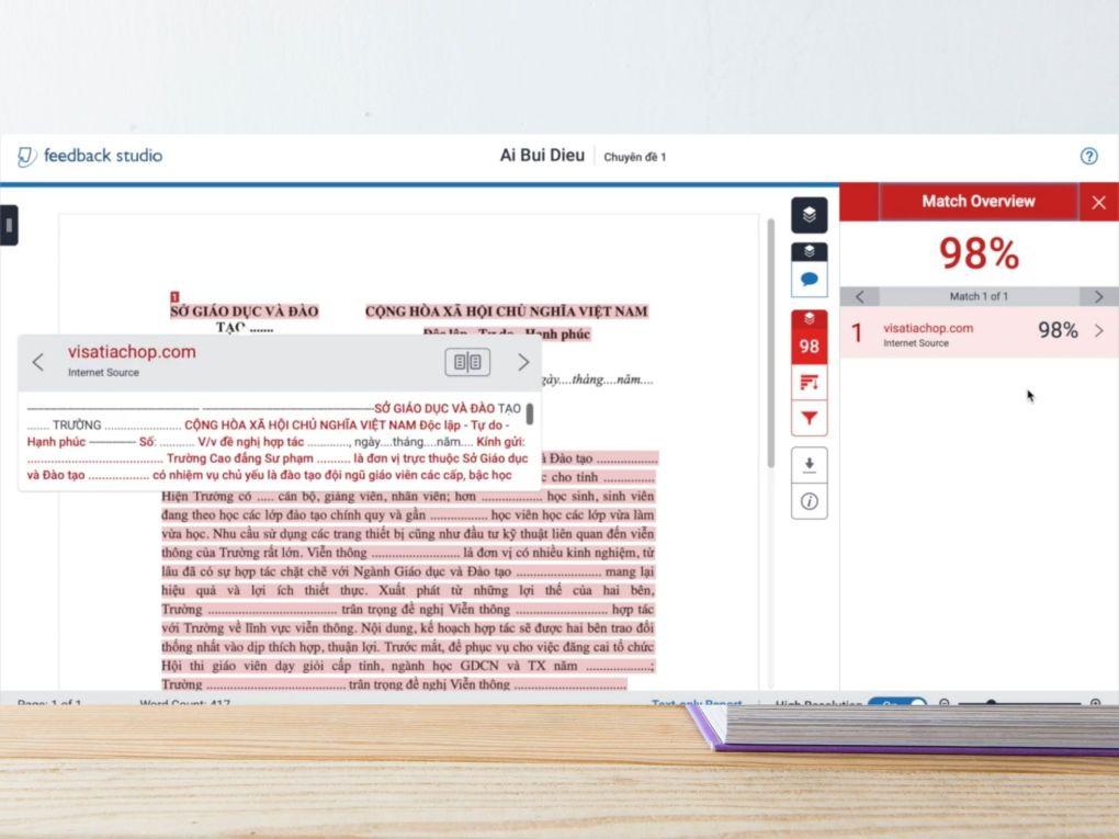 Giao diện sinh viên xem báo cáo Turnitin trong Canvas