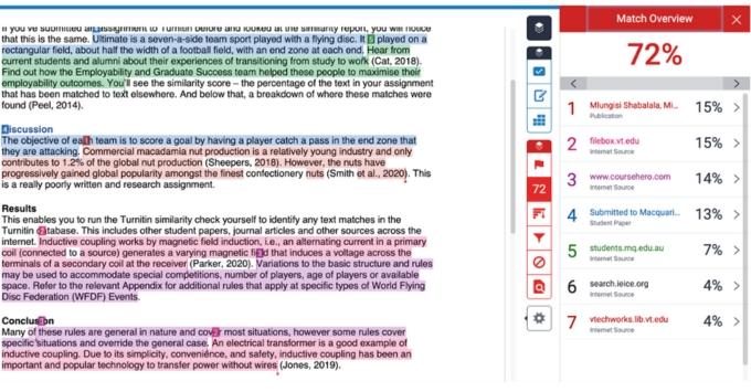 Dashboard Turnitin cho giảng viên