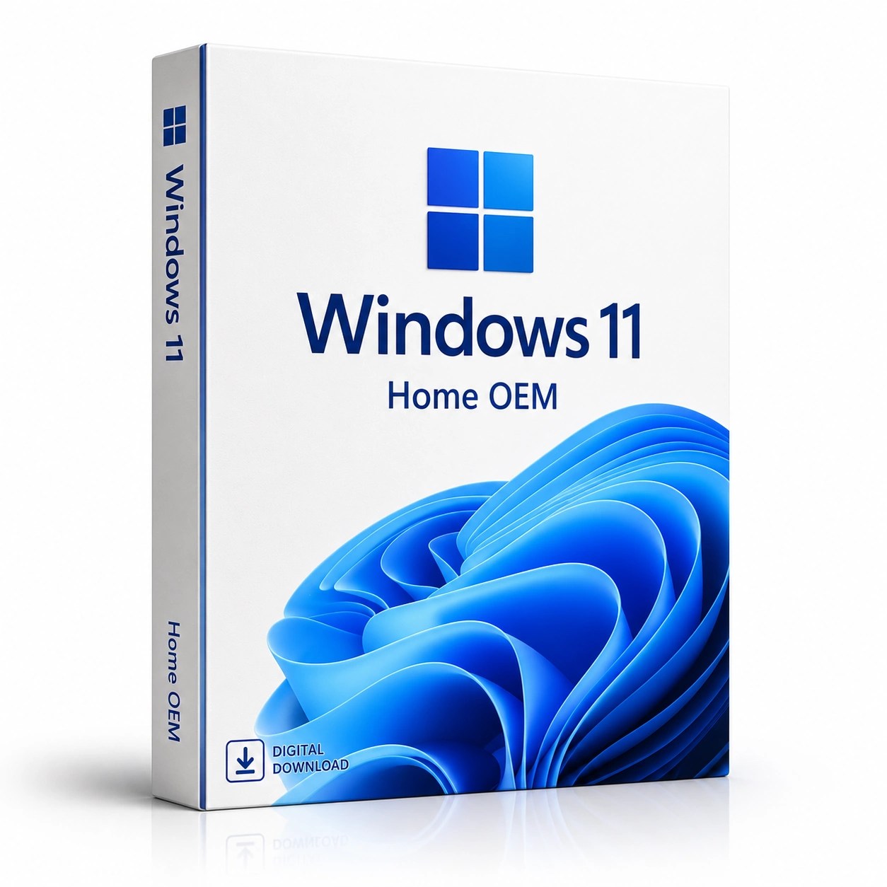 Windows 11 Pro OEM license for 1 PC