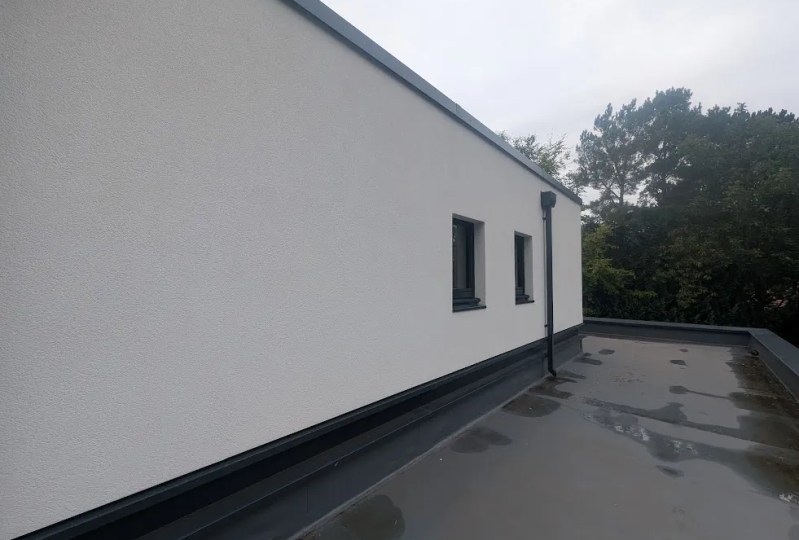 Clean TC15 silicone render wall after AlgoClear Pro treatment, free from algae and staining.