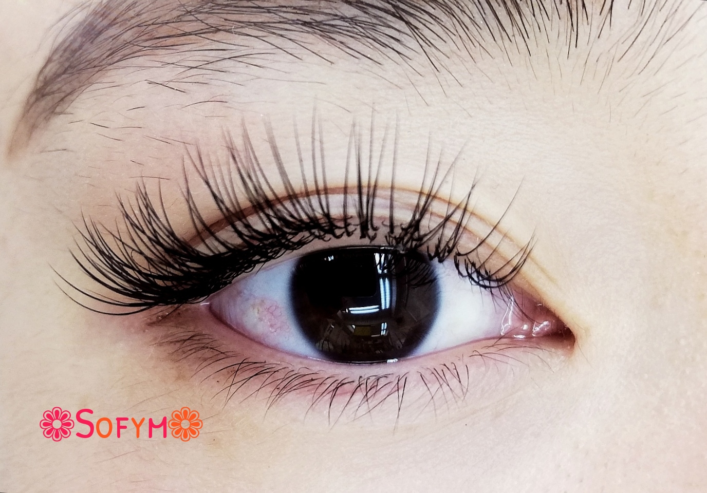 ソフィーム 立川エステ 隠れ家サロン フェイシャル 痩身 マツエク ネイル ブライダル