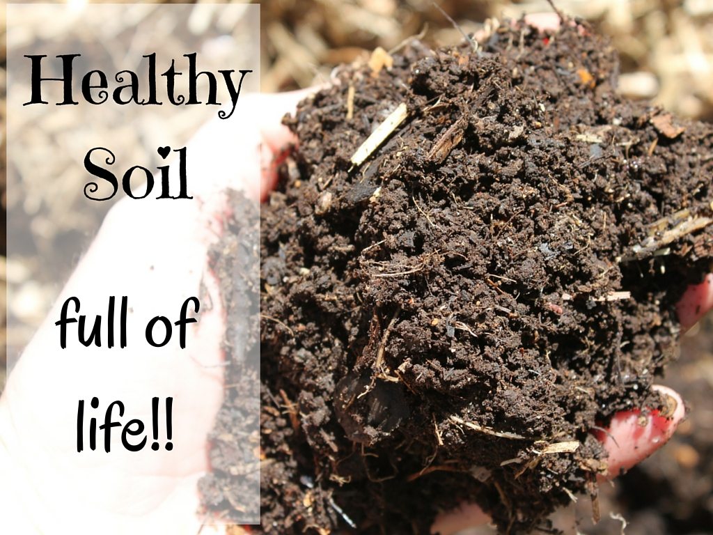 If those don't help, try . Simple Ways To Fix Dry Garden Soil Soil To Supper