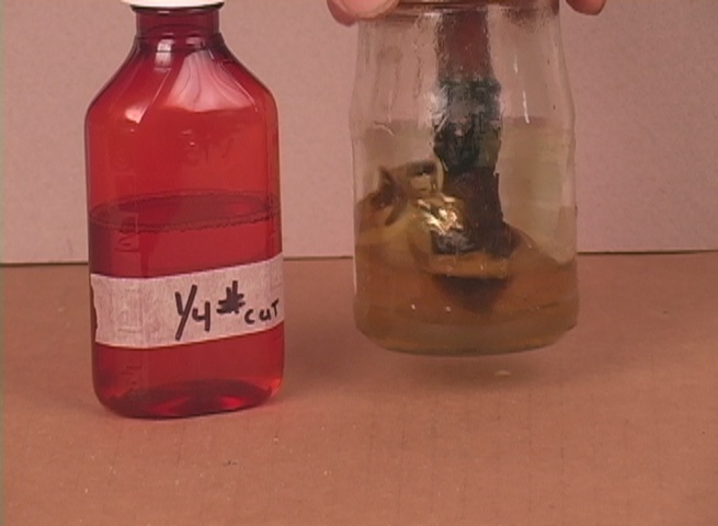 Applicator jar for shellac sealer