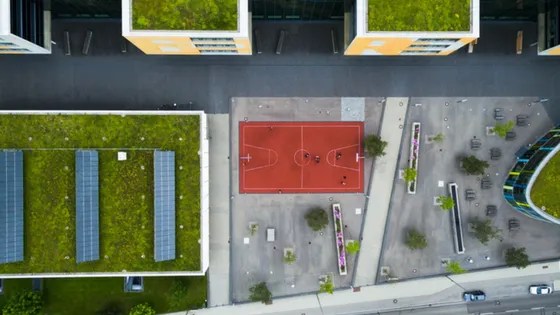 solar energy trends