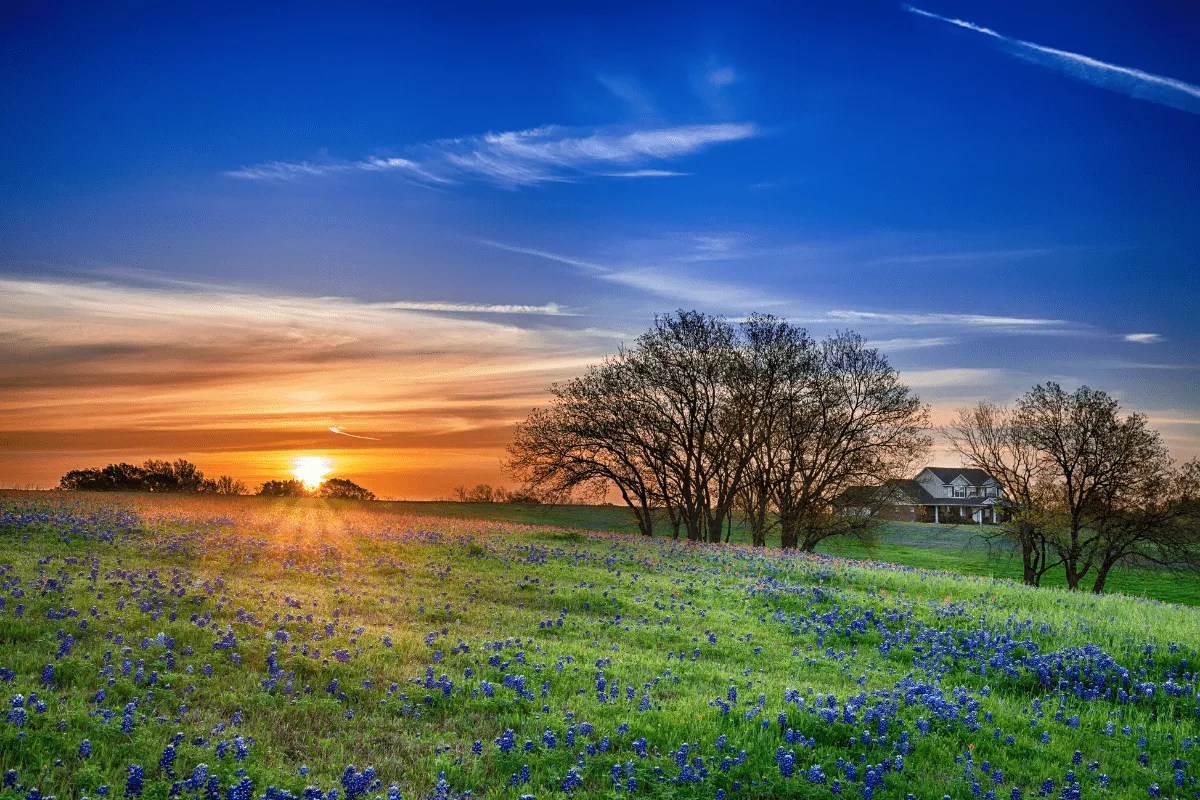 texas solar panel installation costs