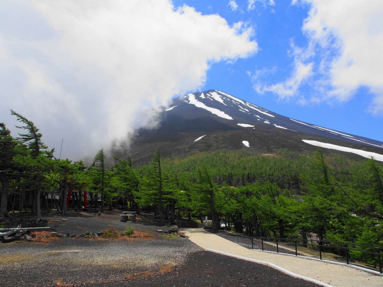 富士山一合目～五合目☆古道ハイキング 日帰り | ツアー紹介☆2022年 | 少人数・マイペースの登山ガイドソレイユ