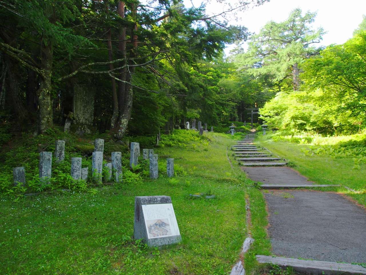 富士山一合目～五合目☆古道ハイキング 日帰り | ツアー紹介☆2022年 | 少人数・マイペースの登山ガイドソレイユ