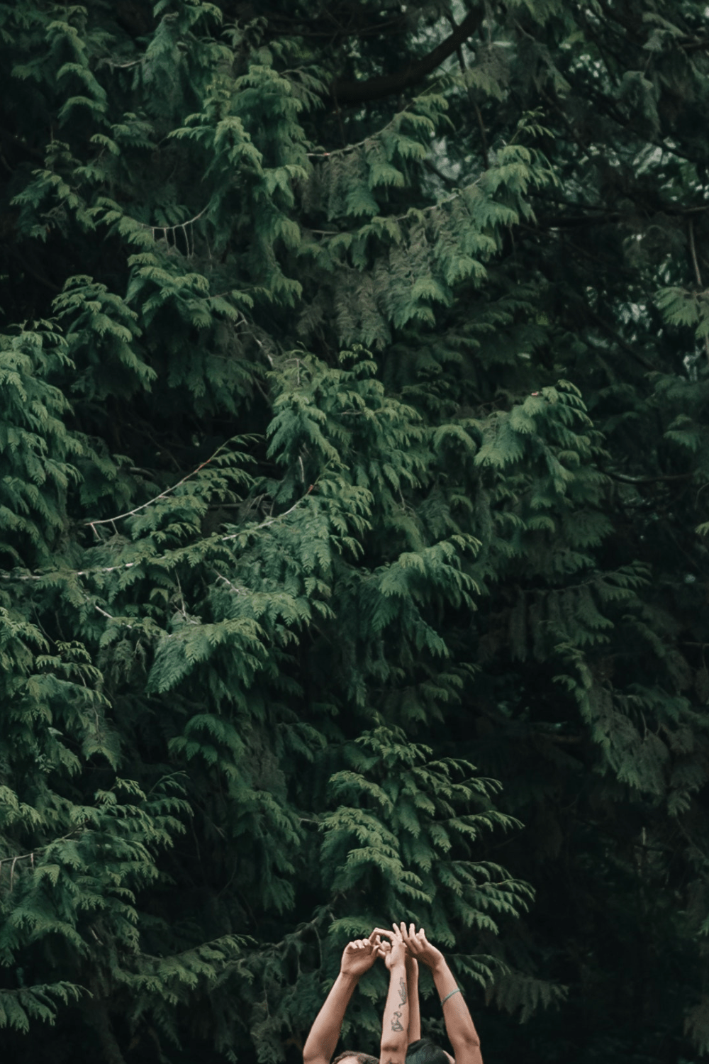 Journal Prompts: What to Write About