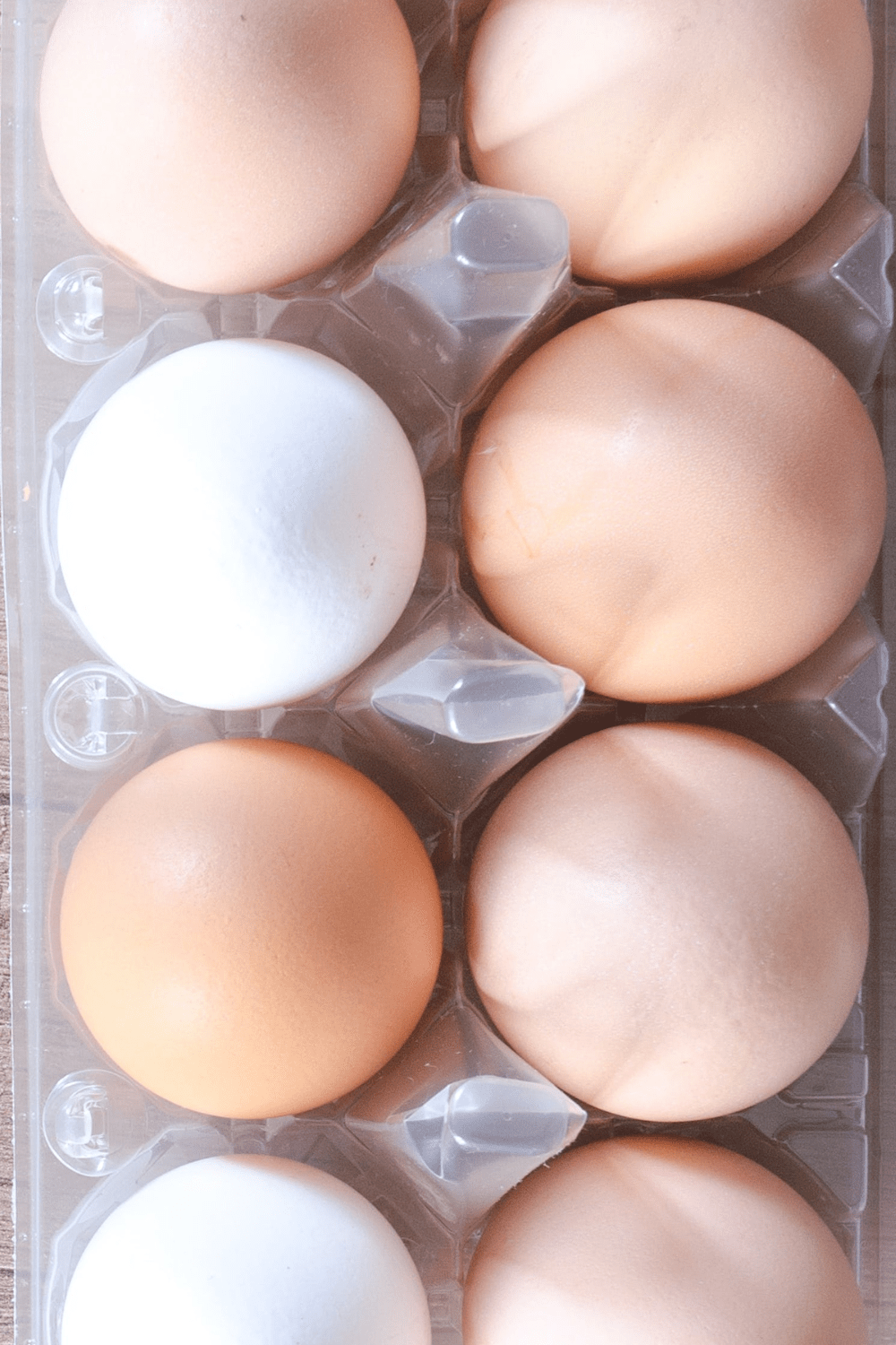 How to Dehydrate Eggs | Step by Step