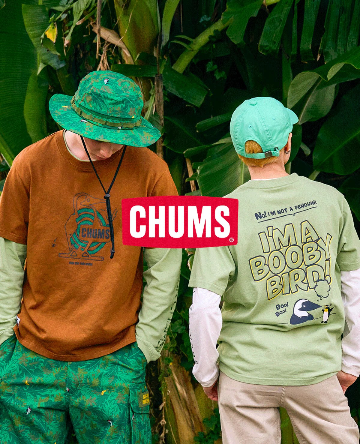 Features Solewhat - Landscape Patterns - Beautiful HD Collection