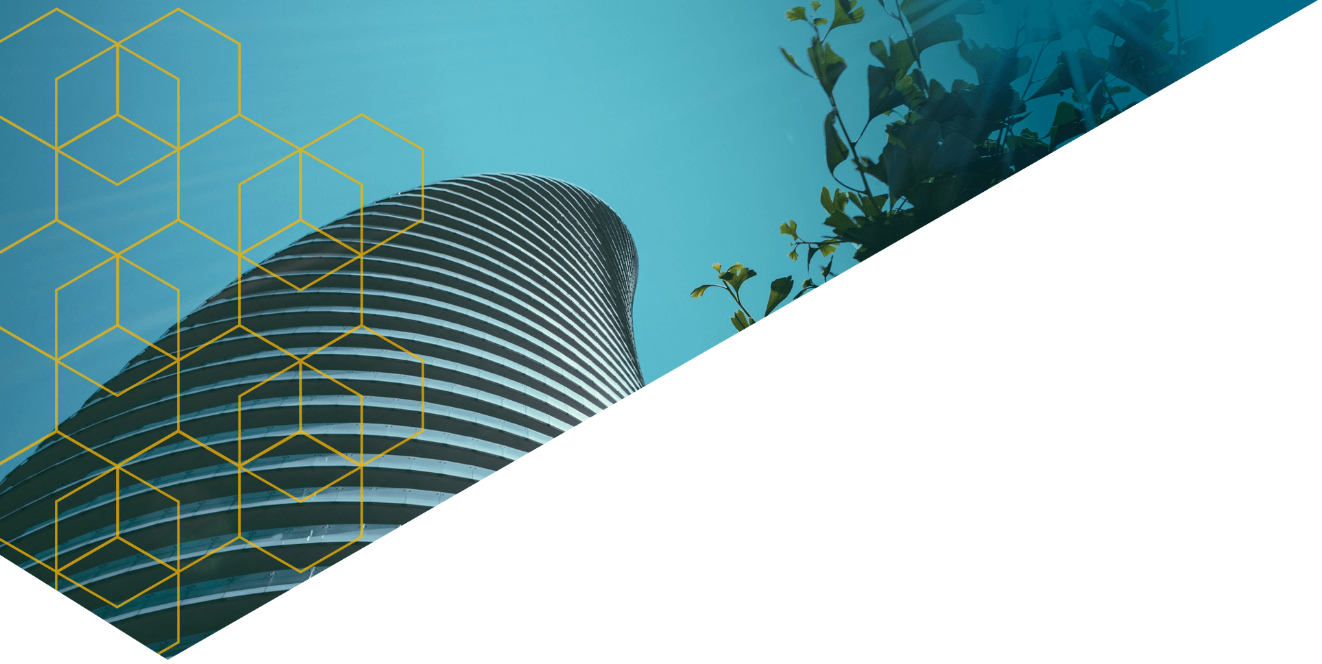 Progetic - foto Marcela Grassi Progetic Slider