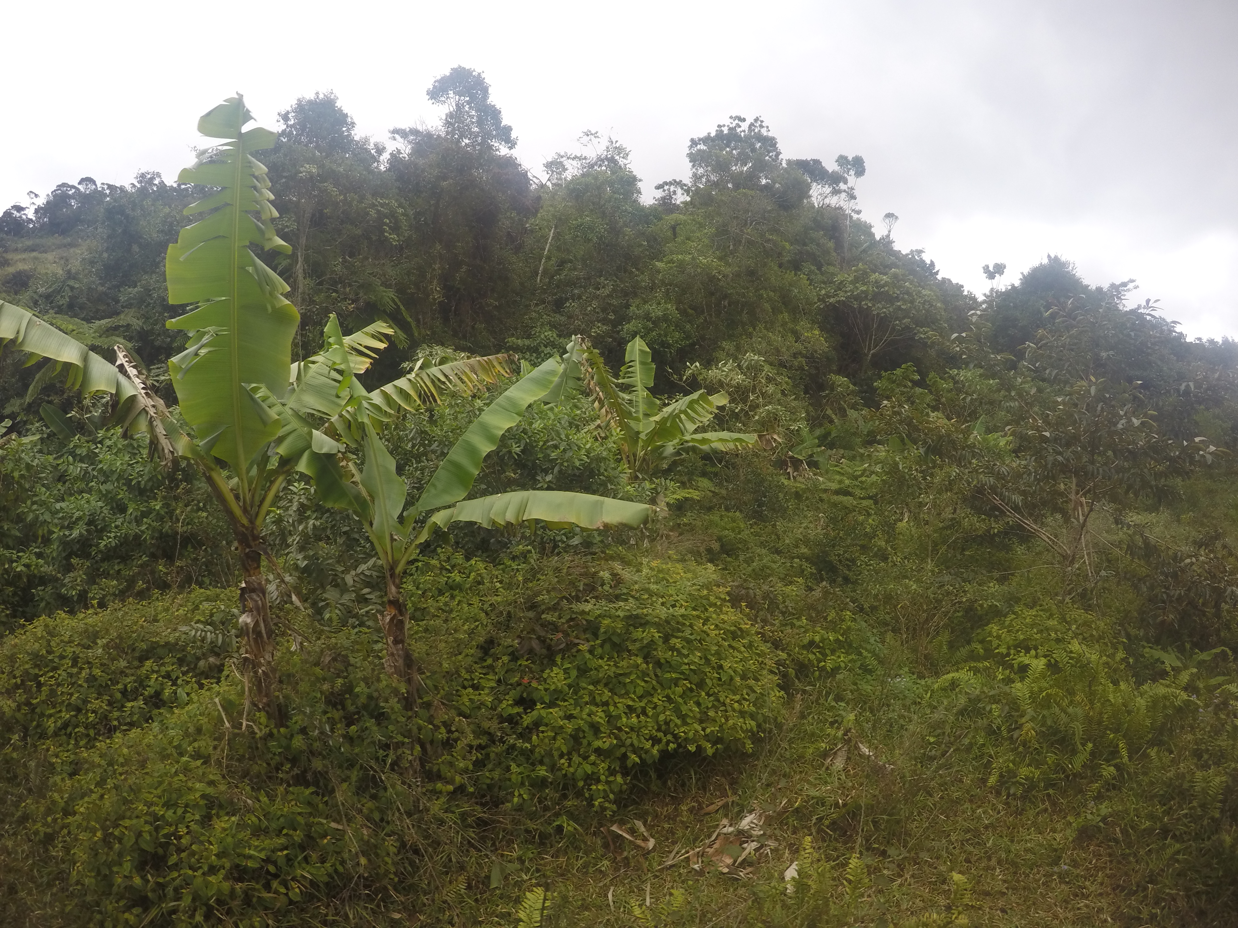 DCIM100GOPROGOPR0535.