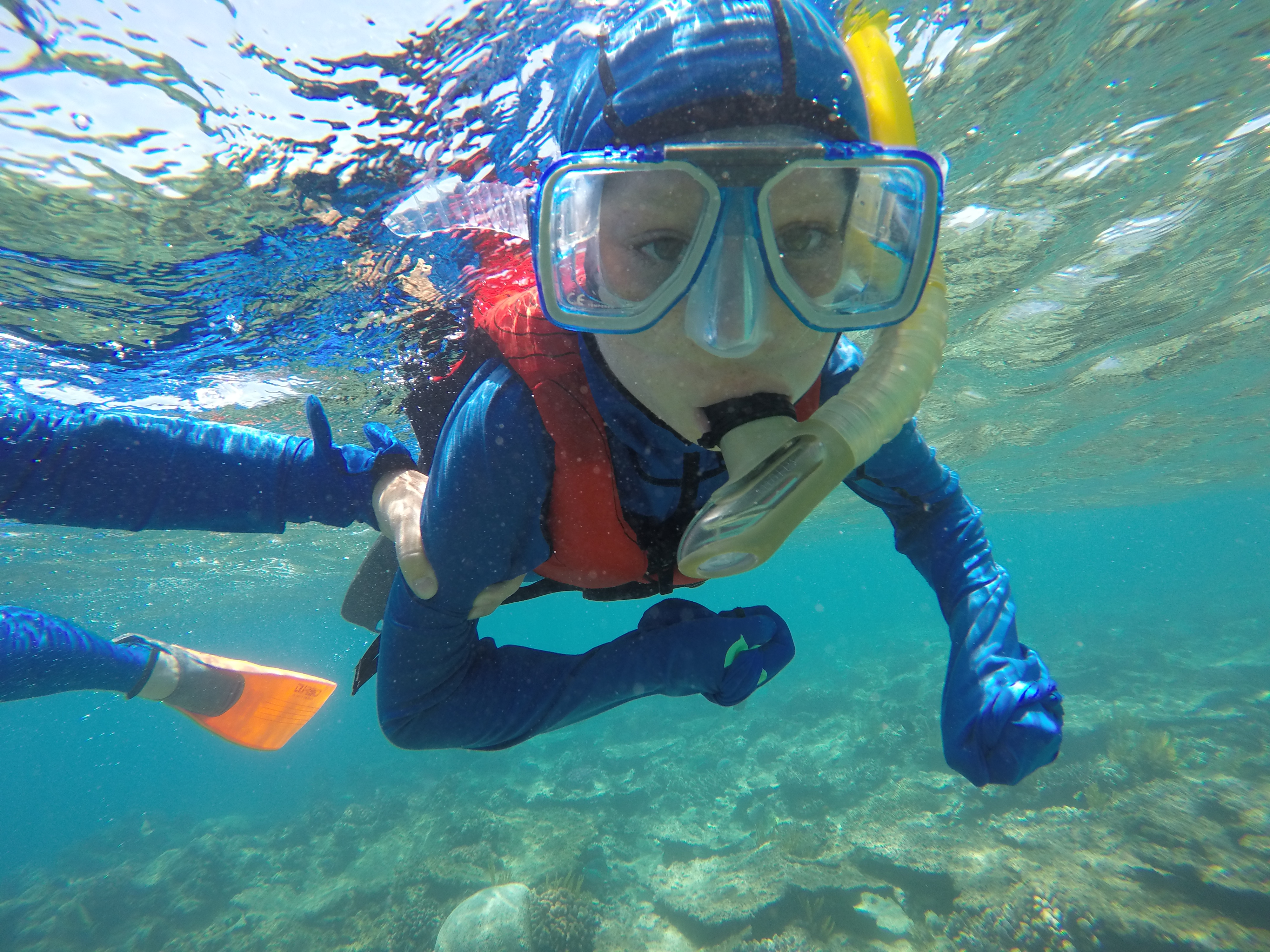 DCIM100GOPROGOPR1363.