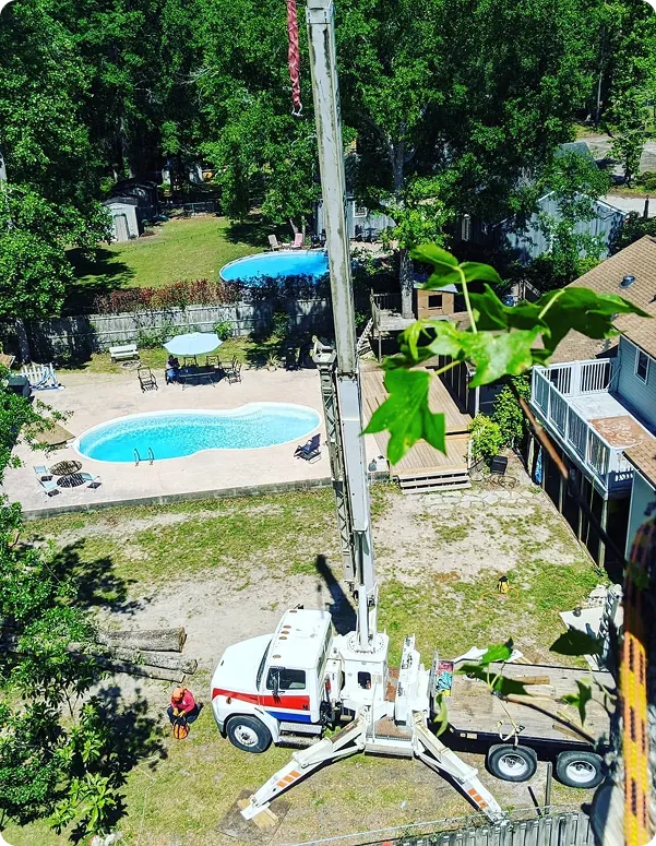 why-choose-tree