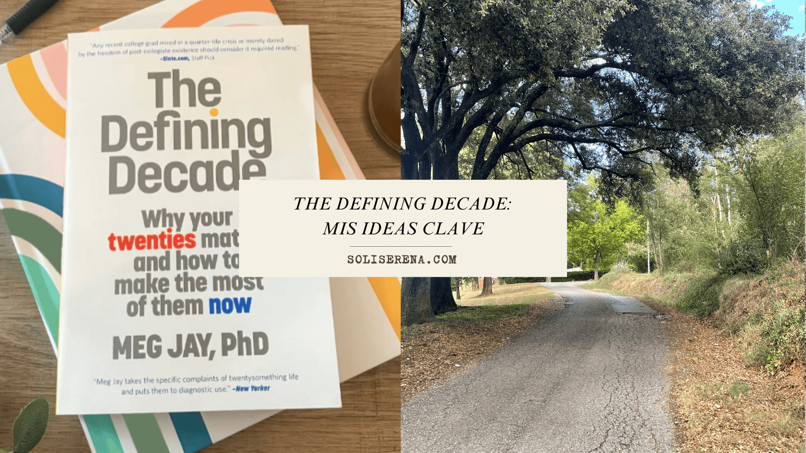 The defining decade: Mis ideas clave
