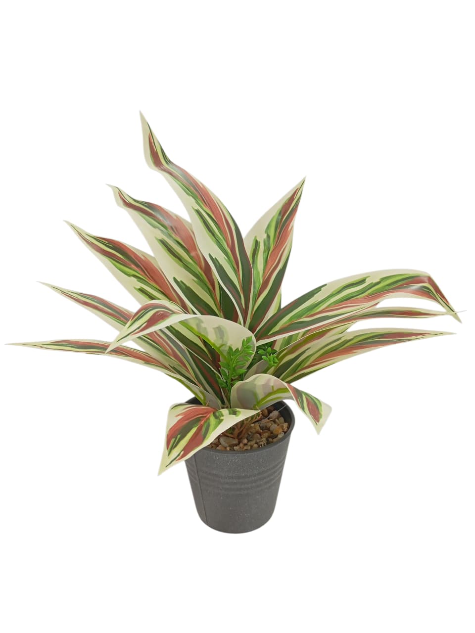 MACETA C/PLANTA 35cm