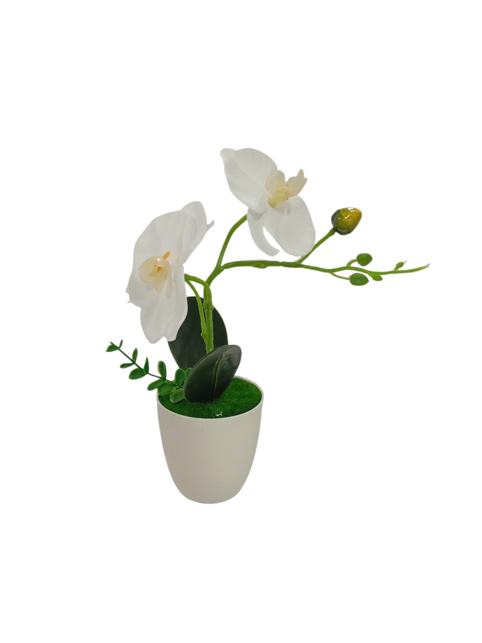 Maceta con orquídeas 29 cm, 4 colores surtidos