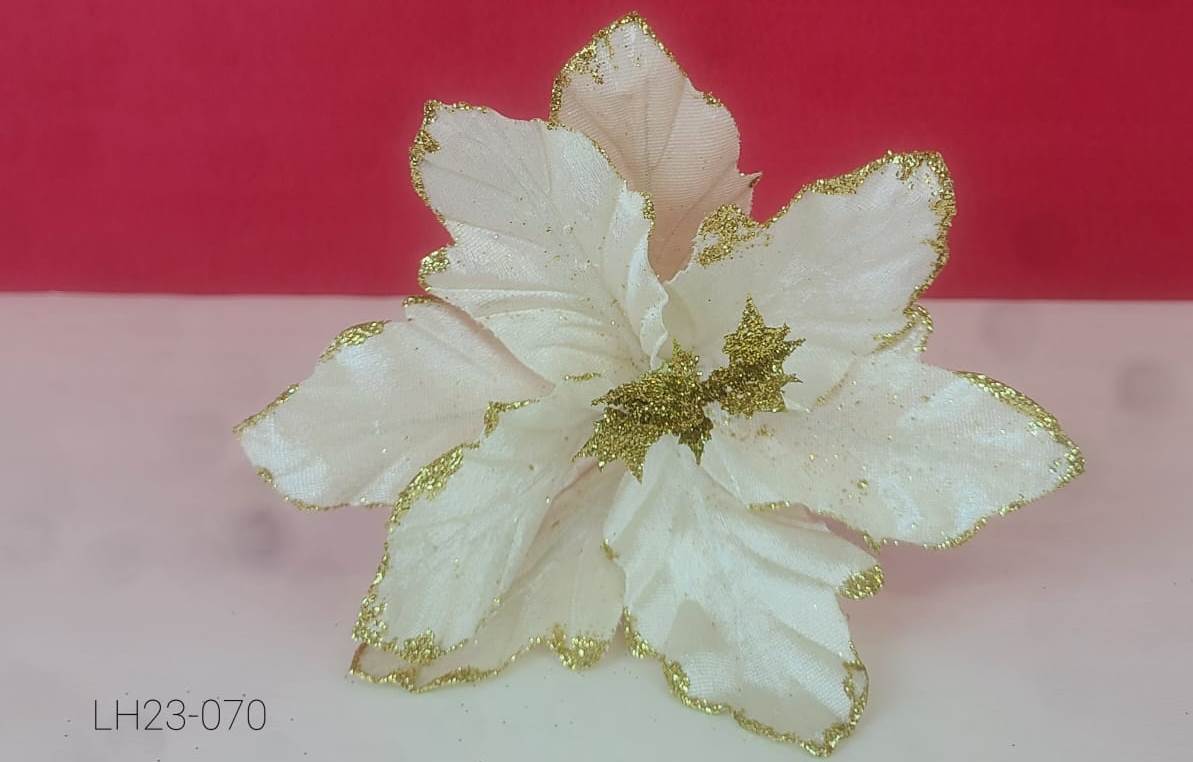 FLOR DE PASCUA 20X15CM BLANCA