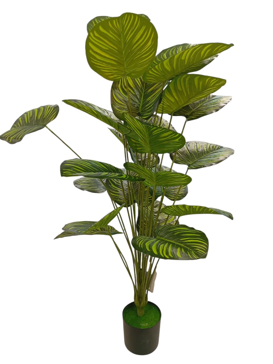 Maceta con planta 18 hojas, 74 cm