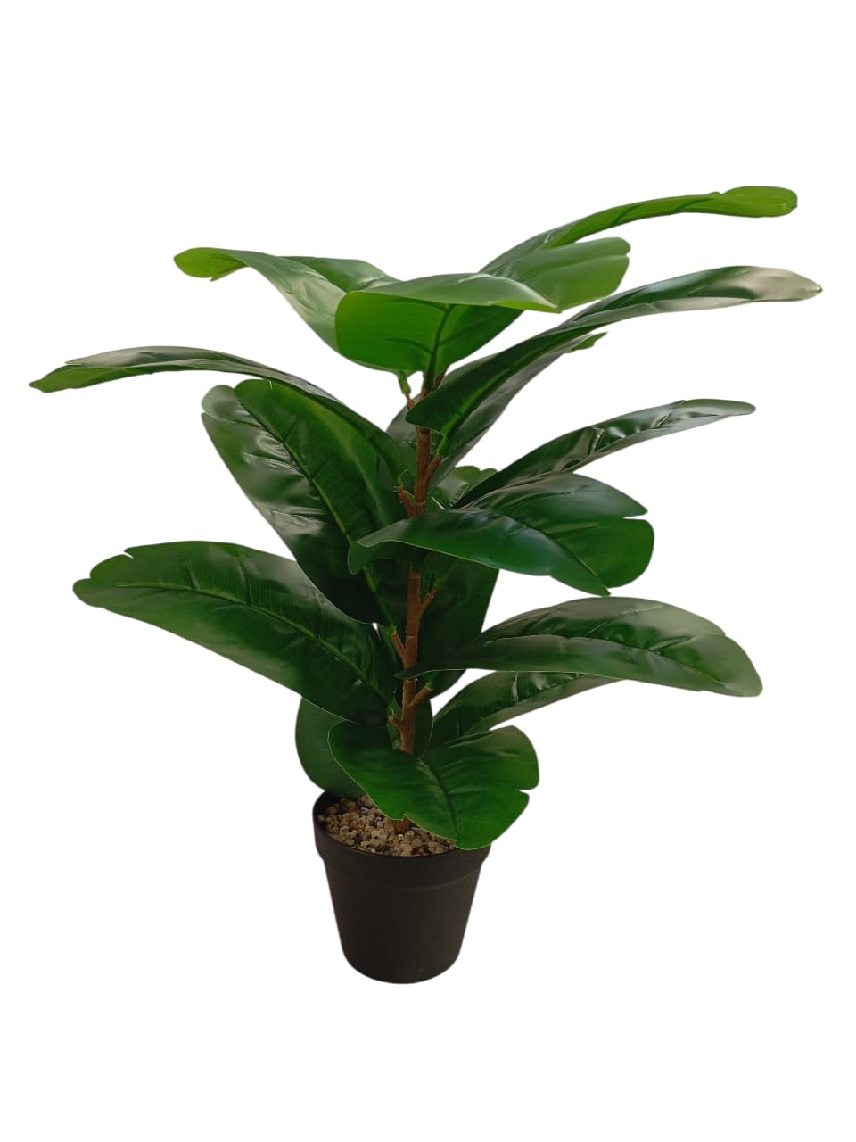 MACETA C/PLANTA HOJA SURT.53 C